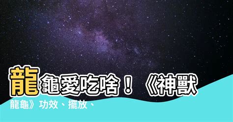 龍龜吃什麼|【龍龜吃什麼】龍龜愛吃啥！《神獸龍龜》功效、擺放。